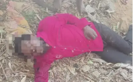 Jamtara Shocker:  नारायणपुर हाइवे पर अज्ञात शव मिलने से सनसनी, शरीर पर चोट के निशान, हत्या या हादसा?