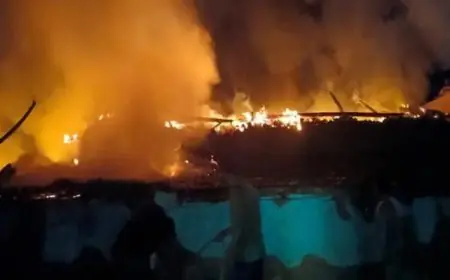 Palamu Fire: पलामू में दिलीप पाठक का आशियाना खाक, 8 लाख की संपत्ति जलकर राख