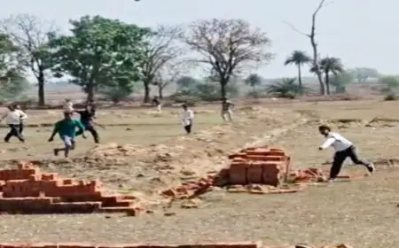 Giridih Conflict: गिरिडीह में गैरमजरुआ जमीन पर खूनी संघर्ष, जमकर चले पत्थर, जमुआ के घोरंजो में धारा 163 लागू