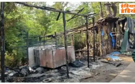 Gamharia Fire: टाटा स्टील गेट पर धू-धू कर जली दुकान, साजिश या हादसा? बार-बार आग लगने से दुकानदार बेहाल