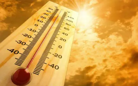 Jharkhand Weather : 43 डिग्री पर तपेगा झारखंड, 11 जिलों में बारिश का अनुमान