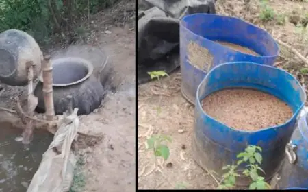 Jamshedpur Raid: अवैध शराब के खिलाफ एक्शन, चार भट्टियां ध्वस्त, तस्करों की उड़ी नींद