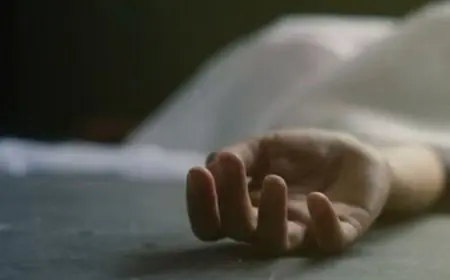 Palamu Mystery: तिलक समारोह से लौट रही महिला कुएं में गिरी, डेढ़ साल पहले ससुर की भी इसी कुएं में हुई थी मौत