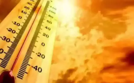 Jharkhand Health Advisory: लू के बढ़ते खतरे के बीच स्वास्थ्य विभाग ने जारी की गाइडलाइन, मुफ्त में मिलेगा ORS