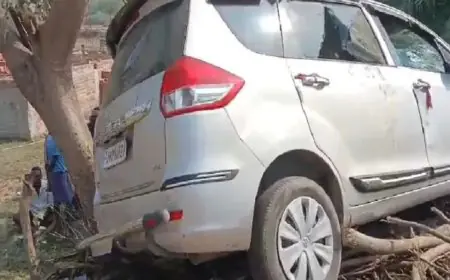 Giridih Carnage: सड़क किनारे बैठे लोगों को कार ने कुचला, एक की मौत, तीन घायल, ग्रामीणों ने पुलिस पर किया पथराव