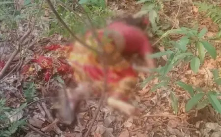 Chaibasa Double Murder : रायको नदी किनारे मिली युवती की लाश, पति पर हत्या का आरोप, डैम से मिला दूसरा शव