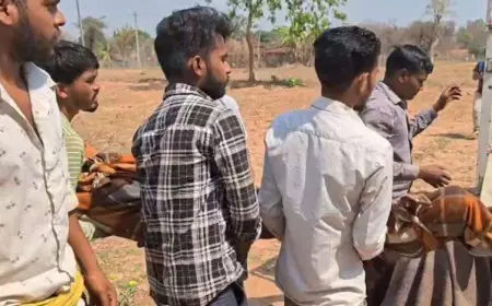 Latehar Wild Attack: महुआ चुनने गई दो महिलाओं पर भैंसों के झुंड ने किया हमला, मौके पर ही तोड़ा दम