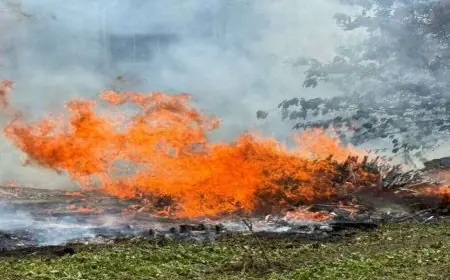 Jamshedpur Wood Fire: बुधवार को बुझी थी आग, दबी चिंगारी ने गुरुवार को लकड़ी टाल में फिर मचाई तबाही