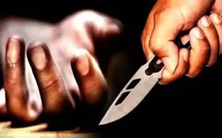 Giridih Stone Murder: खदान का विवाद बना खूनी, भतीजे ने चाचा की चाकू से गोदकर उतारी मौत के घाट