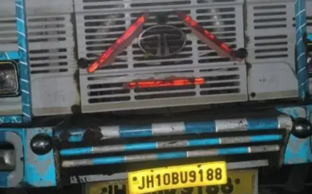 Chaibasa Forest Raid: 44 पीस साल लकड़ी से भरा ट्रक जब्त, बिहार भेजने की फिराक में थे तस्कर