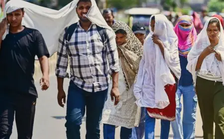 Jharkhand Rain Relief: डाल्टेनगंज 43.6 डिग्री पर रहा सबसे गर्म, इन 9 जिलों में बारिश के आसार