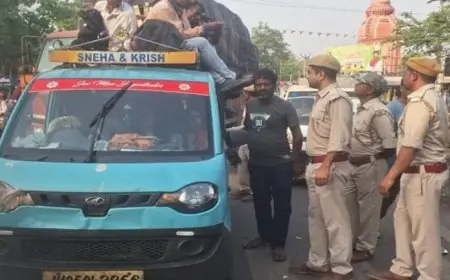 Potka Sendra Alert: शिकार पर्व के दौरान वन विभाग की सख्ती, हाता में चला विशेष जांच अभियान