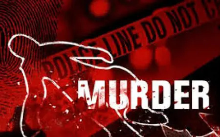 Giridih Sharp Murder: चदरा पुल पर देर रात धारदार हथियार से हमला, मरने से पहले पीड़ित ने बताए हमलावरों के नाम