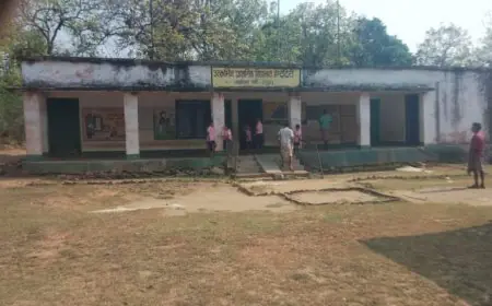 Chaibasa Elephant Attack: 2 हाथियों ने रात में स्कूल में तोड़ा रसोईघर, बच्चों के लिए रखा राशन बर्बाद किया