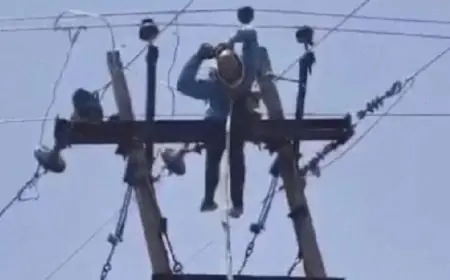 Jharia Electrician Fall Mystery: पोल पर मरम्मत के दौरान गिरे श्याम सुंदर, करंट या लू—दो थ्योरी हुईं जहमत, आंदोलन की चेतावनी