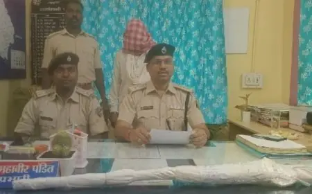 Godda Land Dispute: घर के सामने गाड़ी खड़ी करने पर हुआ विवाद, झाड़ियों में छिपाकर रखी थी देसी बंदूक