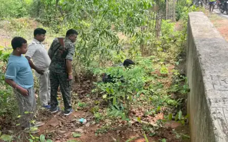 Chakulia Dead Body Found: कल्वर्ट के ह्युम पाइप में छिपा था 60 साल के बुजुर्ग का सड़ा-गला शव, राहगीरों ने देखी भयानक तस्वीर