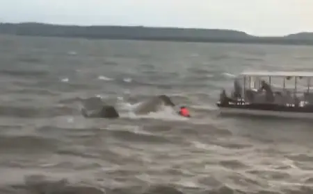 Jabalpur Boat Tragedy: बरगी डैम में क्रूज पलटा, 4 की मौत, 15 बचे, 10 अब भी लापता, NDRF जारी रेस्क्यू