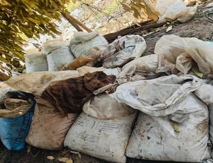 Chaibasa Liquor Bust: जमीन के अंदर दबाकर बनाते थे महुआ शराब, 3000 लीटर नष्ट, 4 तस्कर फरार