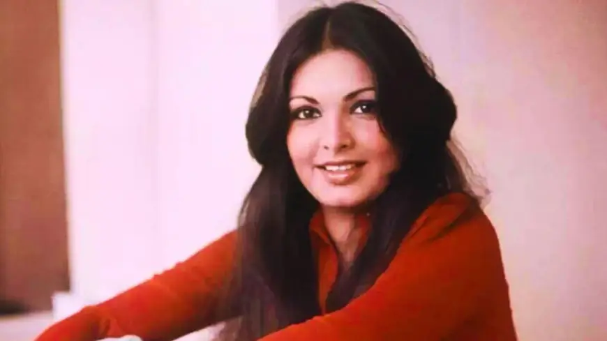 Parveen Babi: 54 कमरों का महल और सड़ती हुई लाश,जूनागढ़ की राजकुमारी से बॉलीवुड की 'बोल्ड' क्वीन तक,परवीन बाबी की मौत के वो 4 खौफनाक दिन