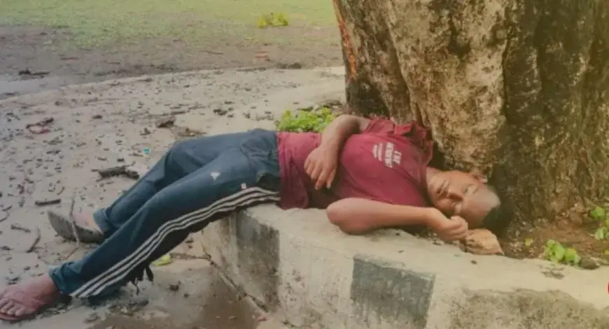 Dimna Death: डिमना लेक के पास पेड़ पर गिरी बिजली, नीचे बैठे युवक की झुलसकर मौके पर ही मौत