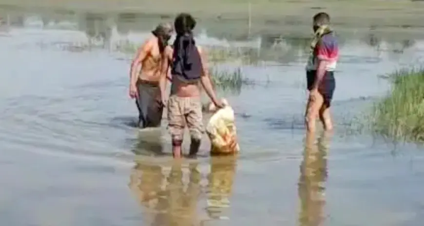 Gamharia Mystery:  गम्हरिया के रापचा डैम में मिला अधेड़ का शव, पानी में तैरती लाश देख इलाके में सनसनी, जांच में जुटी पुलिस