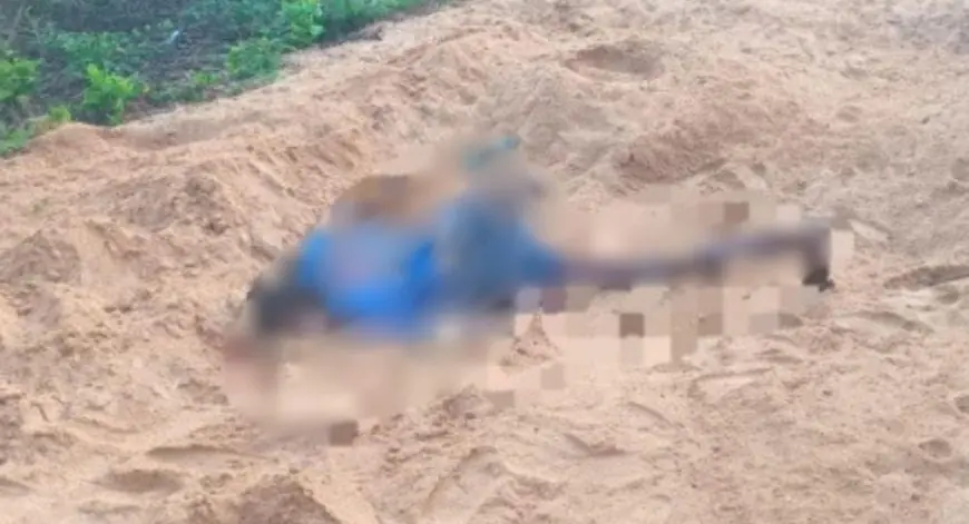 Chandil Elephant: सापारुम गांव में जंगली हाथी का खूनी तांडव, बुजुर्ग राधा तंतुबाई की दर्दनाक मौत