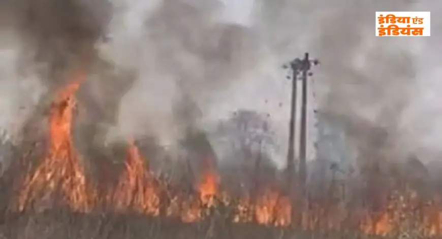 Chatra Fire : प्रतापपुर में जंगल की आग से धुआं-धुआं हुआ इलाका