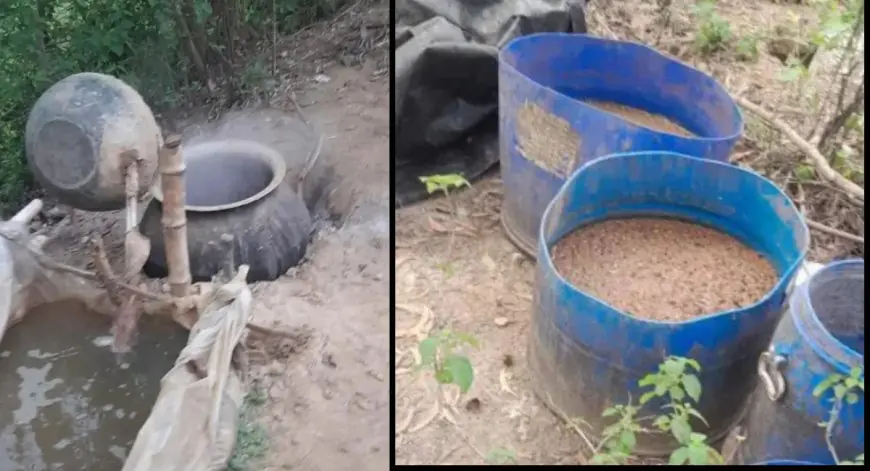 Jamshedpur Raid: अवैध शराब के खिलाफ एक्शन, चार भट्टियां ध्वस्त, तस्करों की उड़ी नींद