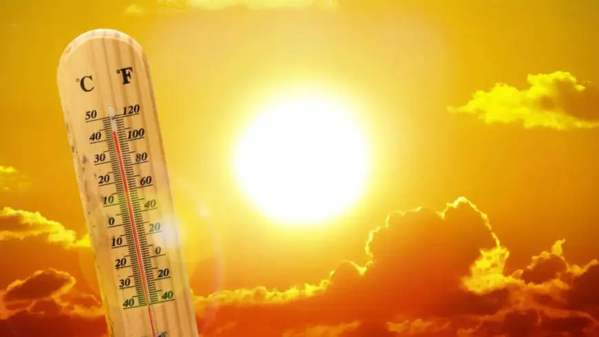 Jharkhand Heatwave : 41.8 डिग्री पर पहुंचा पारा, 19 से 21 अप्रैल तक इन 8 जिलों में लू का अलर्ट
