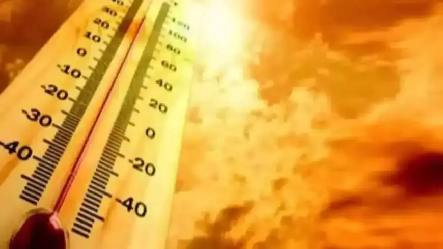 Jharkhand Health Advisory: लू के बढ़ते खतरे के बीच स्वास्थ्य विभाग ने जारी की गाइडलाइन, मुफ्त में मिलेगा ORS