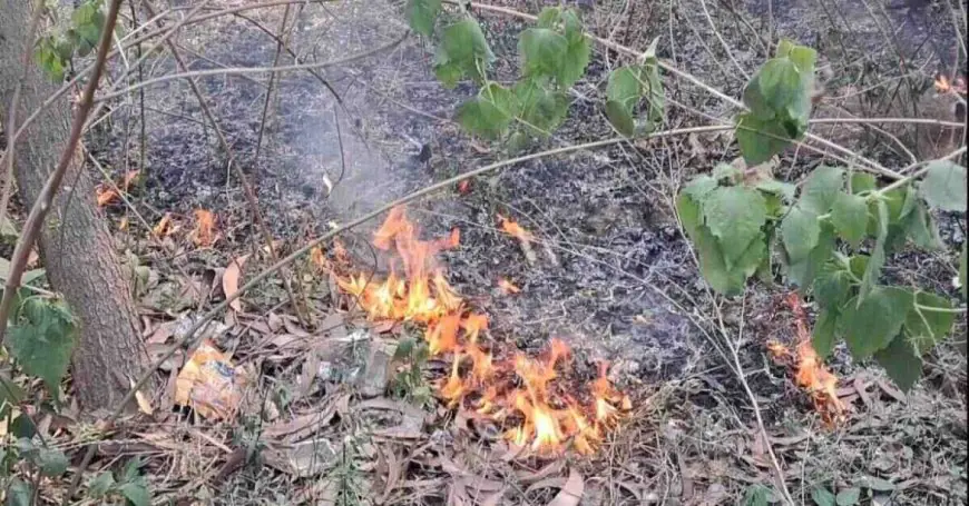 Jamshedpur Inferno: दलमा जंगल की तराई में भीषण आग, बीड़ी-सिगरेट से लगी चिंगारी, रिहायशी इलाकों तक पहुंची लपटें