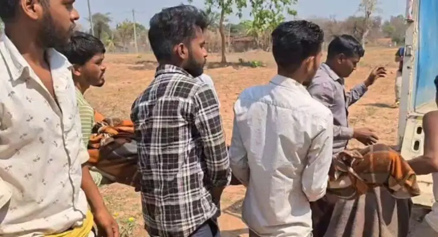 Latehar Wild Attack: महुआ चुनने गई दो महिलाओं पर भैंसों के झुंड ने किया हमला, मौके पर ही तोड़ा दम