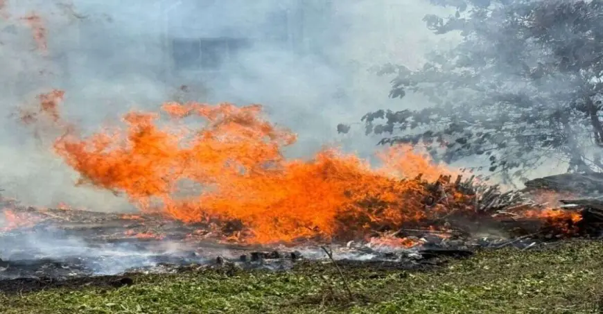 Jamshedpur Wood Fire: बुधवार को बुझी थी आग, दबी चिंगारी ने गुरुवार को लकड़ी टाल में फिर मचाई तबाही