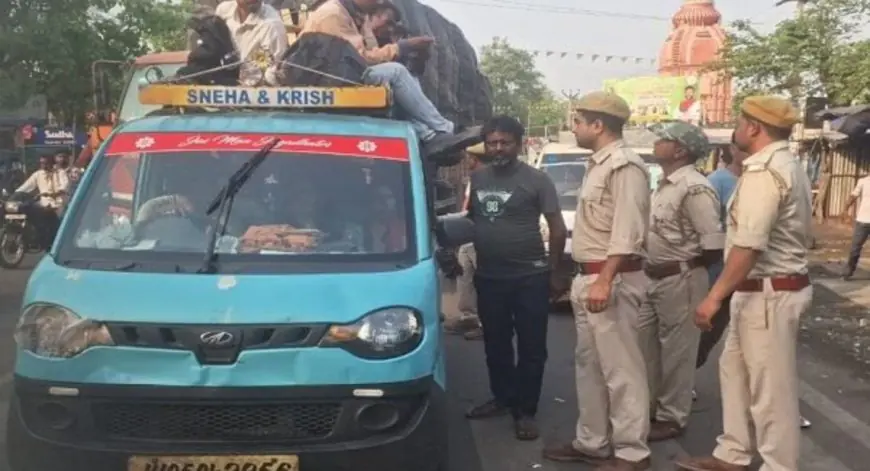 Potka Sendra Alert: शिकार पर्व के दौरान वन विभाग की सख्ती, हाता में चला विशेष जांच अभियान