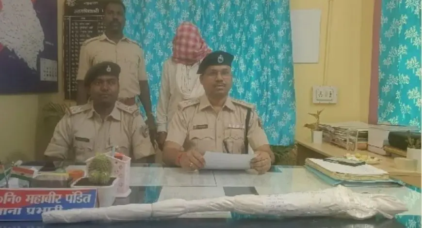 Godda Land Dispute: घर के सामने गाड़ी खड़ी करने पर हुआ विवाद, झाड़ियों में छिपाकर रखी थी देसी बंदूक