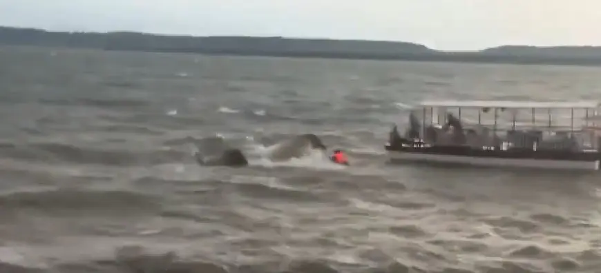 Jabalpur Boat Tragedy: बरगी डैम में क्रूज पलटा, 4 की मौत, 15 बचे, 10 अब भी लापता, NDRF जारी रेस्क्यू