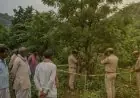 Kapali Action: कपाली में XUV से चार गायें बरामद, पुलिस की घेराबंदी देख वाहन छोड़कर भागा चालक, मची सनसनी 