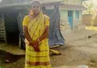 Patmada Goat Theft: बामनी टोला में चोरों ने 3 खस्सी चुराए, 60 हजार का नुकसान, पुलिस गश्त के बावजूद बेखौफ वारदात