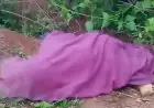 Chakulia Elephant Attack: 72 वर्षीय वृद्धा हाथी के हमले में ढ़ही, ग्रामीणों ने वन विभाग की लापरवाही पर साधा निशाना