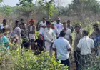 Chandil Elephant Attack: ब्लॉक परिसर से लौटते समय हाथी ने मारी पटक, 50 वर्षीय व्यक्ति की मौत