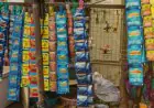Jharkhand Gutka Ban: राज्य में तंबाकू युक्त गुटखा-पान मसाला के निर्माण-बिक्री पर पूर्ण प्रतिबंध, उल्लंघन पर होगी कड़ी कार्रवाई