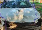 Ranchi Accident: रांची में विदाई के वक्त भीषण हादसा, पुल से नीचे खाई में गिरी दूल्हा-दुल्हन की कार