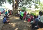 Chaibasa Cow Slaughter: कमरबेड़ा गांव में गाय का कटा सिर मिलने से मचा हड़कंप, 5 पर केस, 4 हिरासत में