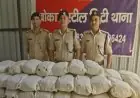 Bokaro Ganja Seizure: बस स्टैंड से बिहार भेजी जाने वाली 47 किलो गांजा की खेप जब्त, कीमत 5-7 लाख