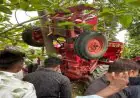 Jamtara Tragedy: जामताड़ा में बालू लदे ट्रैक्टर का तांडव, बाइक सवार की दर्दनाक मौत, पेड़ पर जा चढ़ा वाहन