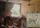 Chandil Elephant Attack: हाथी ने ग्राम प्रधान का घर तोड़ा, पत्नी गंभीर घायल, अनाज-कागजात नष्ट