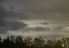 Jharkhand Weather Alert: 16-21 मई तक खराब मौसम, 50-60 किमी/घंटा की हवा, 17-18 को ऑरेंज अलर्ट