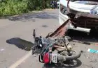 Chaibasa Horror :  कुजू मोड़ पर मां पार्वती बस ने बाइक सवार को सामने से रौंदा, उड़ गए परखच्चे, तड़पता छोड़ भागा ड्राइवर