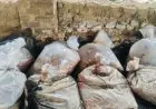 Chaibasa Raid : टोकलो में 1600 किलो महुआ और 40 लीटर देसी शराब बरामद, पांच भट्टियां ध्वस्त